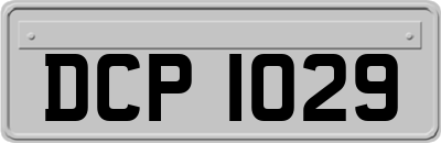 DCP1029
