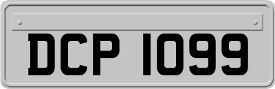 DCP1099