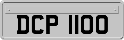 DCP1100