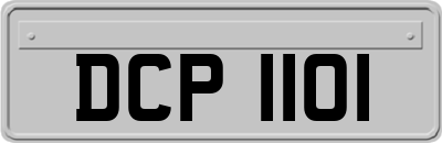 DCP1101