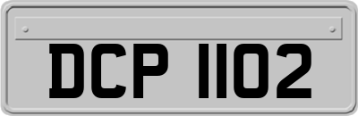 DCP1102