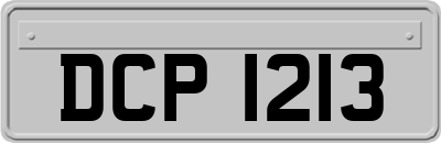 DCP1213