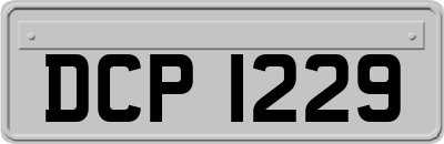 DCP1229