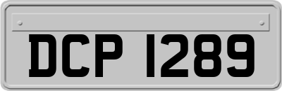 DCP1289