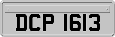 DCP1613