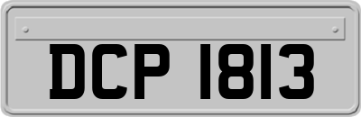 DCP1813