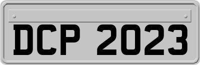 DCP2023