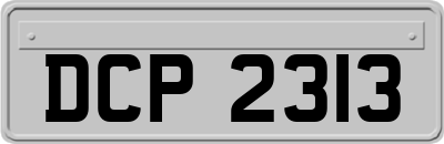 DCP2313