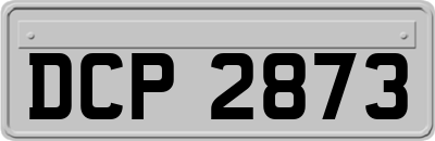 DCP2873