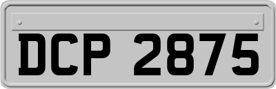 DCP2875