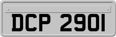 DCP2901