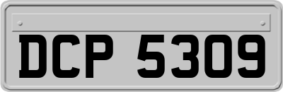 DCP5309