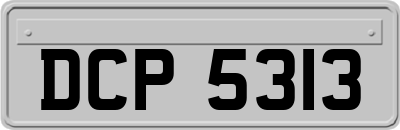 DCP5313