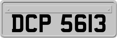 DCP5613