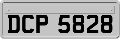 DCP5828