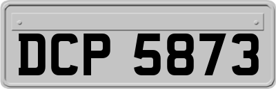 DCP5873