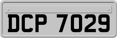 DCP7029