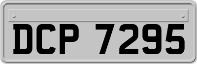 DCP7295