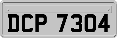 DCP7304