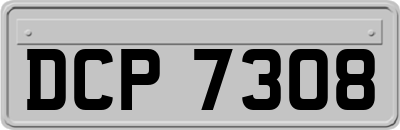 DCP7308