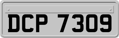 DCP7309