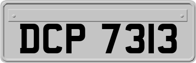 DCP7313