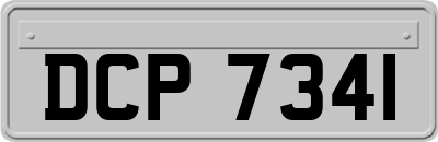 DCP7341