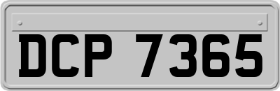 DCP7365