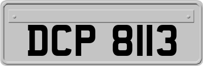DCP8113