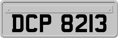 DCP8213