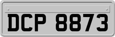 DCP8873