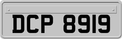 DCP8919