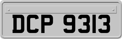 DCP9313