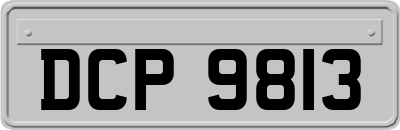 DCP9813