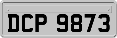 DCP9873