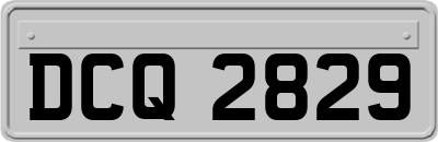 DCQ2829