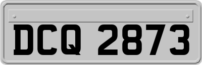 DCQ2873