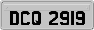 DCQ2919