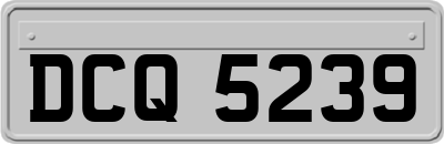 DCQ5239