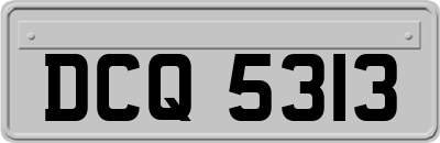 DCQ5313
