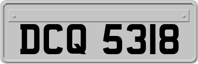 DCQ5318