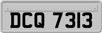 DCQ7313