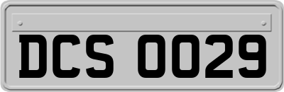 DCS0029