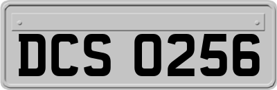 DCS0256