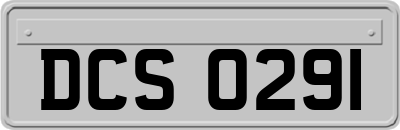 DCS0291