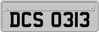 DCS0313