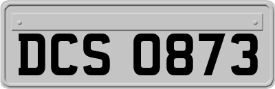 DCS0873