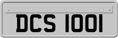 DCS1001