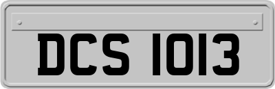 DCS1013