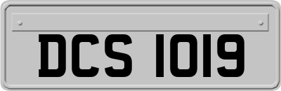 DCS1019